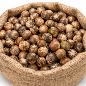 Betel Nut