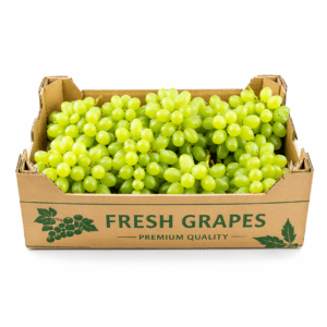Fresh Grapes