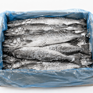 Hake Fish