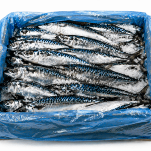 Mackerel