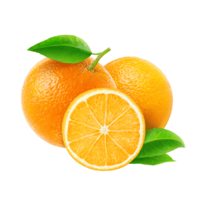 Fresh Orange - Juicy & Sweet Natural Citrus Fruit