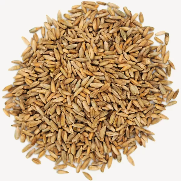 Rye – Bulk Wholesale Supply – Alliance Global Trading PTY LTD