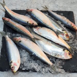 Sardines - Premium Quality Fresh & Canned Sardines