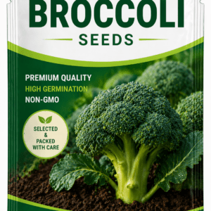 Broccoli seeds