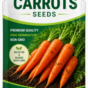 Carrot Seeds