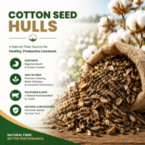 Cotton Seed Hulls