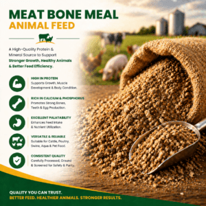 Meat Bone Meal