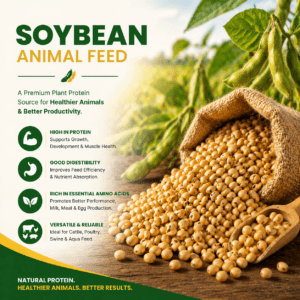 Soybean Meal