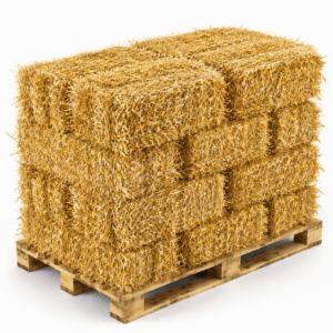 Wheat Straw